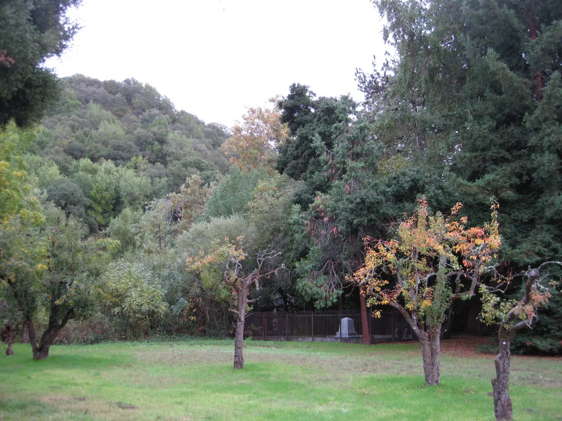 John Muir gravesite