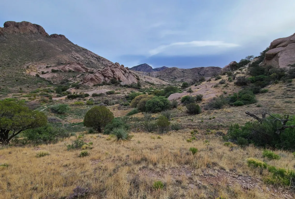 From the Achenbach trailhead/campspots looking east