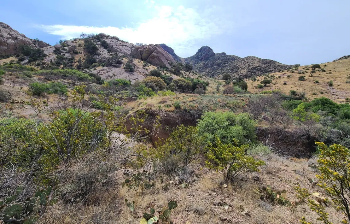Another spot on the Achenbach trail