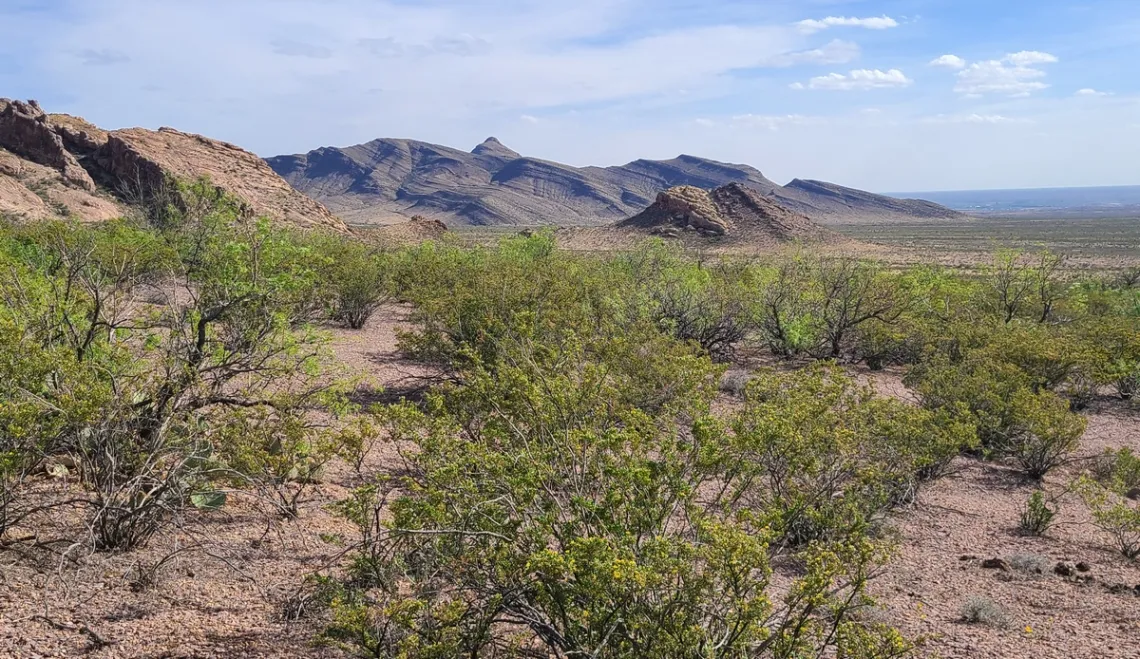From the Sierra Vista trail; Pena Blanca is the low summit right of center