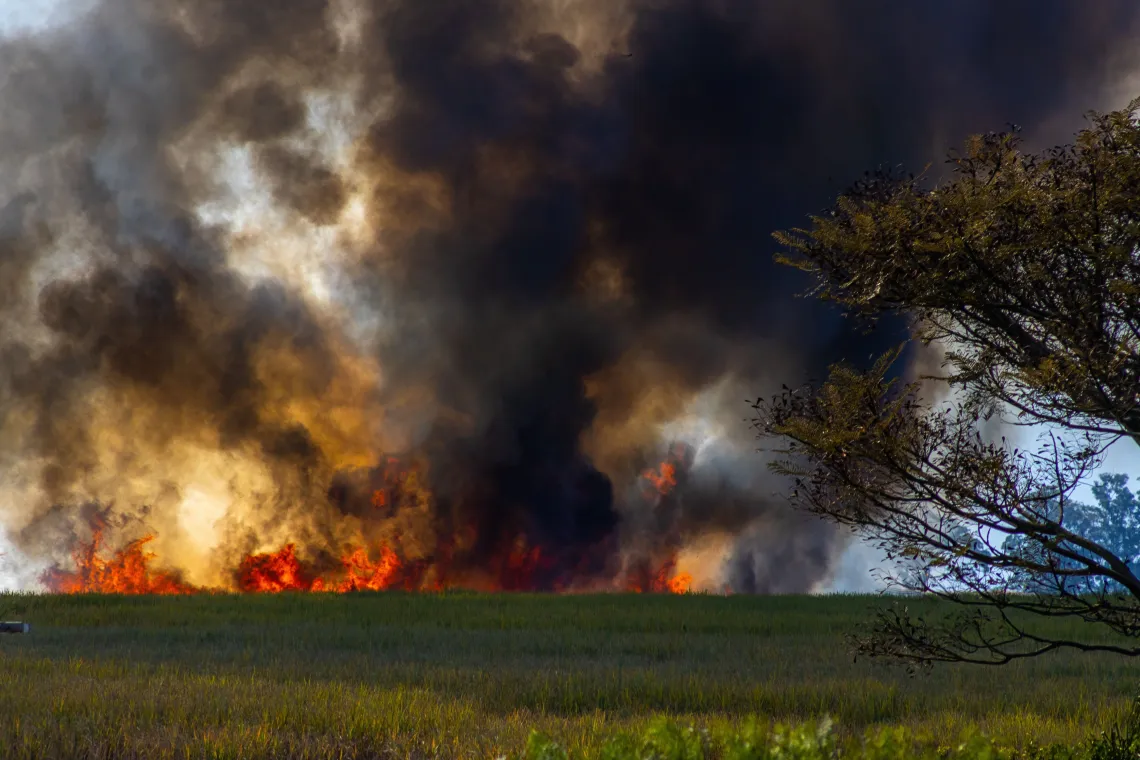 Large brushfire on the horizon