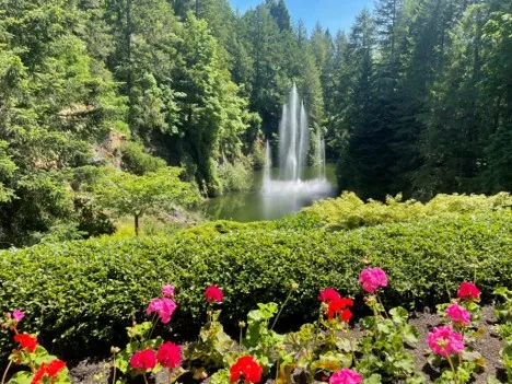 Butchart Gardens