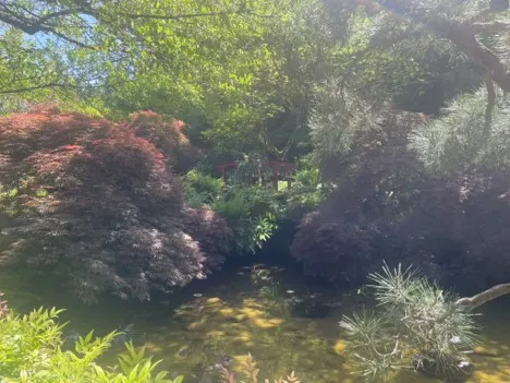 Butchart Gardens
