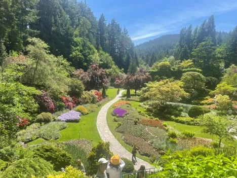 Butchart Gardens