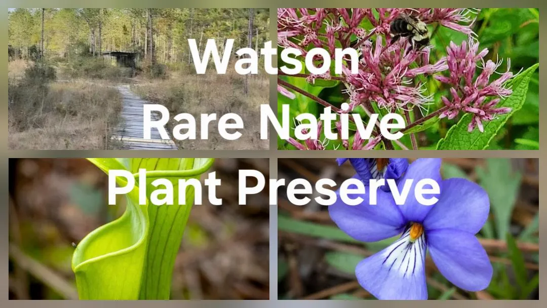 Watson Rare Native Plant Preserve