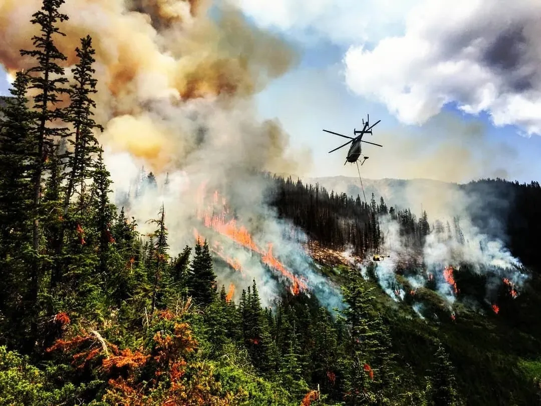 Helicopter flying over large wildfire.