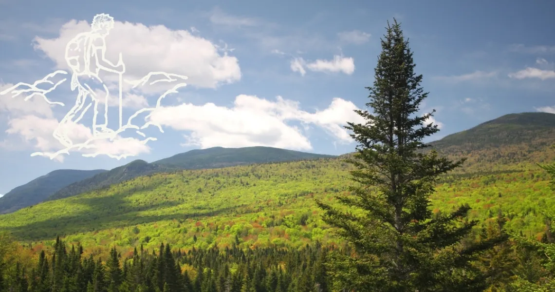 white mountains