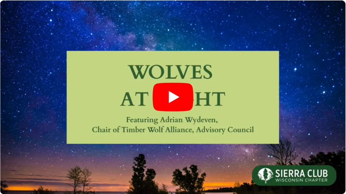 Wolves at Night Cover Slide