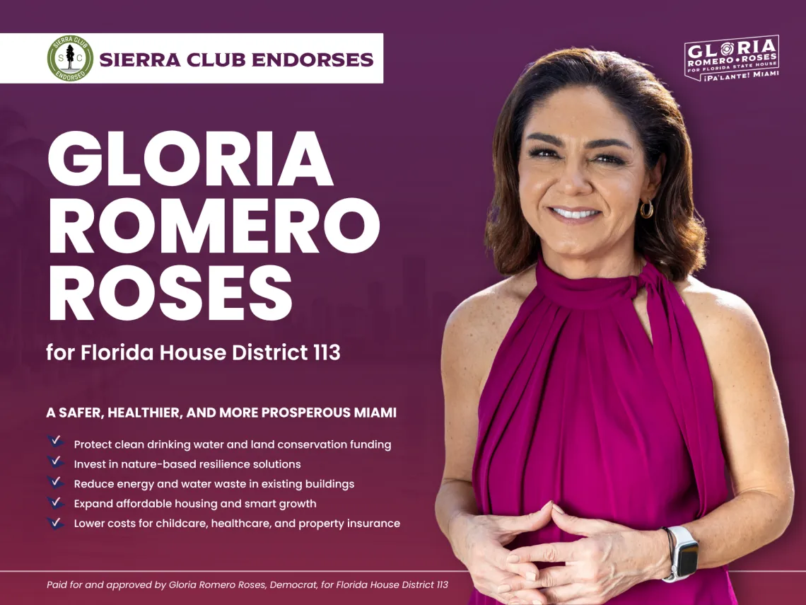 Gloria Romero Roses campaign promises