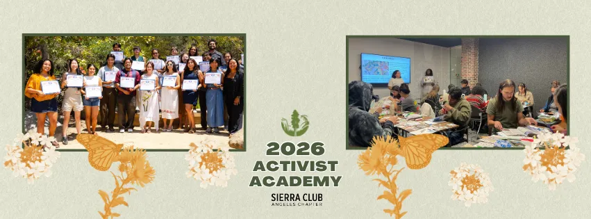 Activist Academy Header
