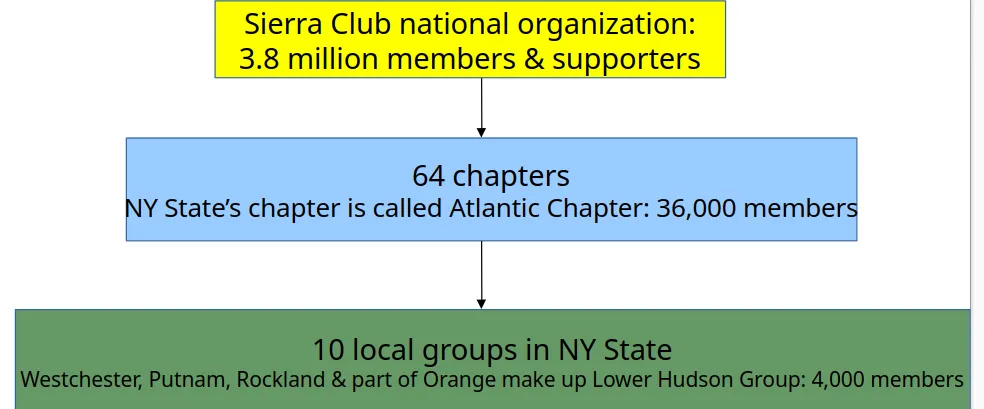 Lower Hudson Group structure within Club-national and chapter