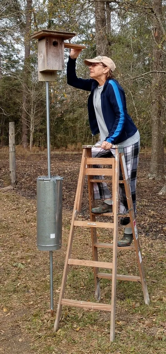 Nancy checking a bird house