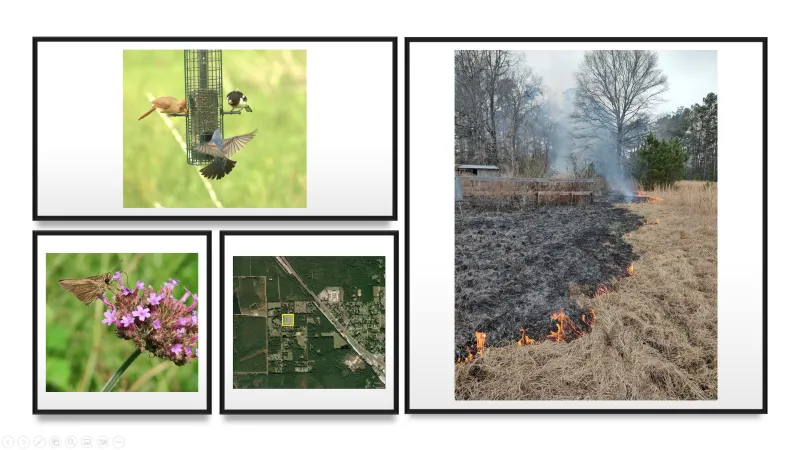 Nancy Landowner Project
