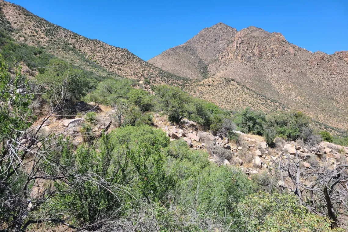On the Baylor Canyon trail about halfway to Baylor Pass