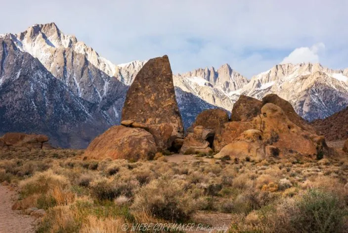 The snowy Sierra Mountains including Mount Whitney are the backdrop for an Owens Valley landscape the features a rock formation resembling a large shark's fin. The foreground is composed of dusty assorted chapparal plants. 