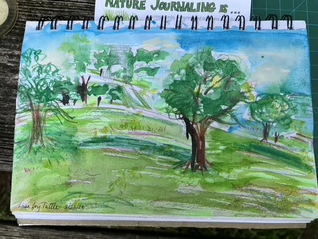 VF 2026 journaling 2