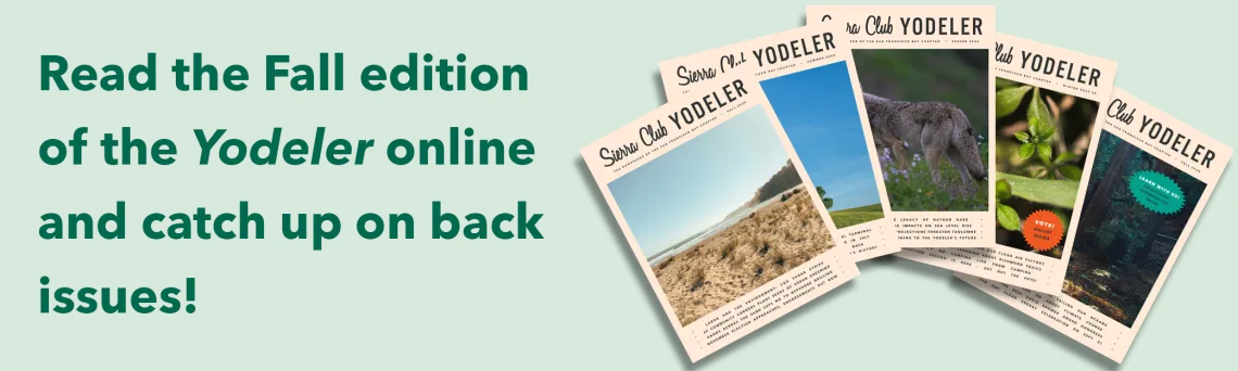 Read the Fall edition of the Yodeler online and catch up on back issues!