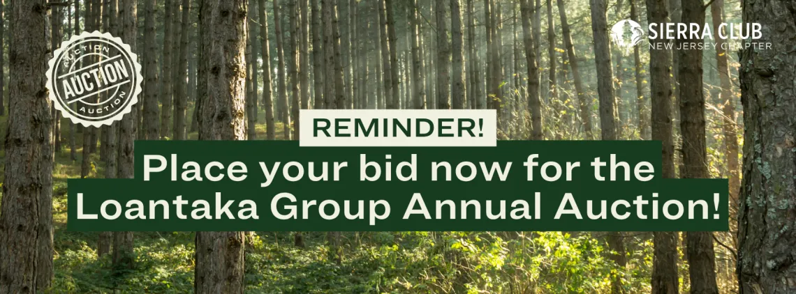 Loantaka Group Annual Auction