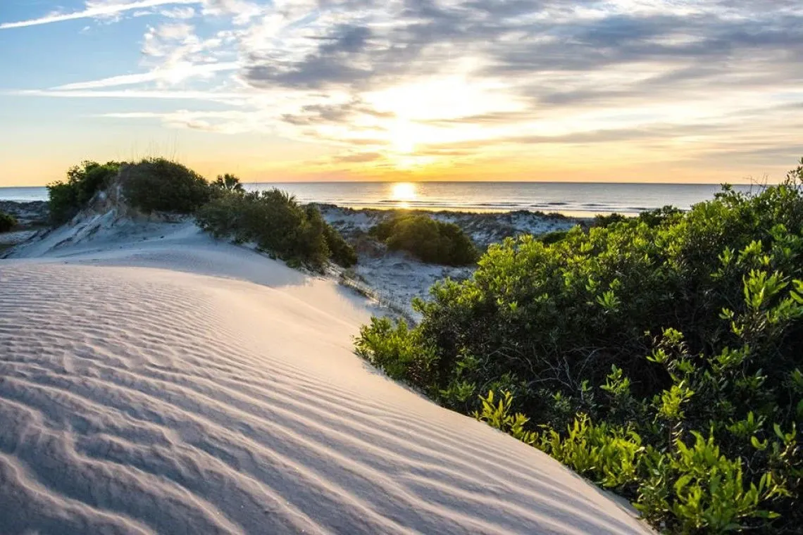 Cumberland Island Beach