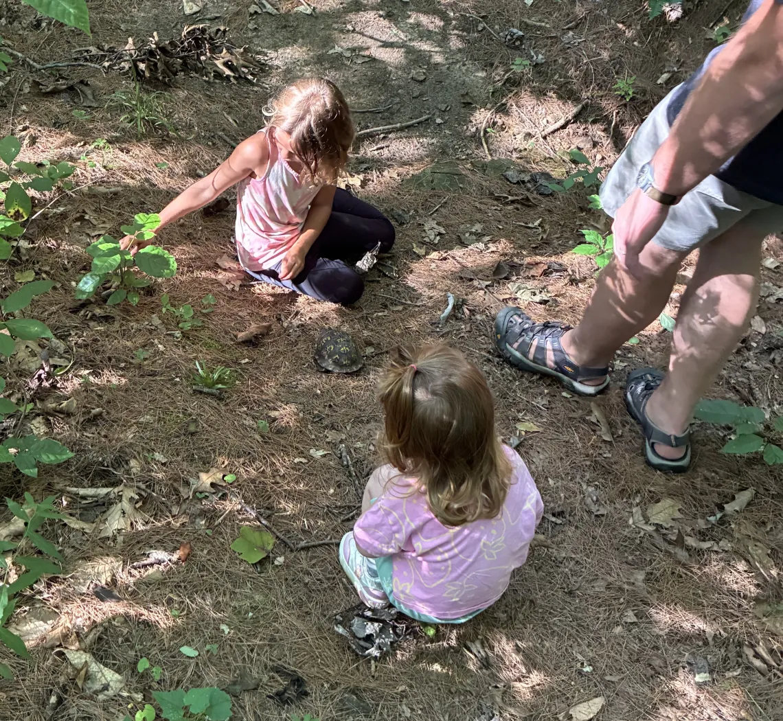 Two children sitting on the ground of a trail looking at a tortoise