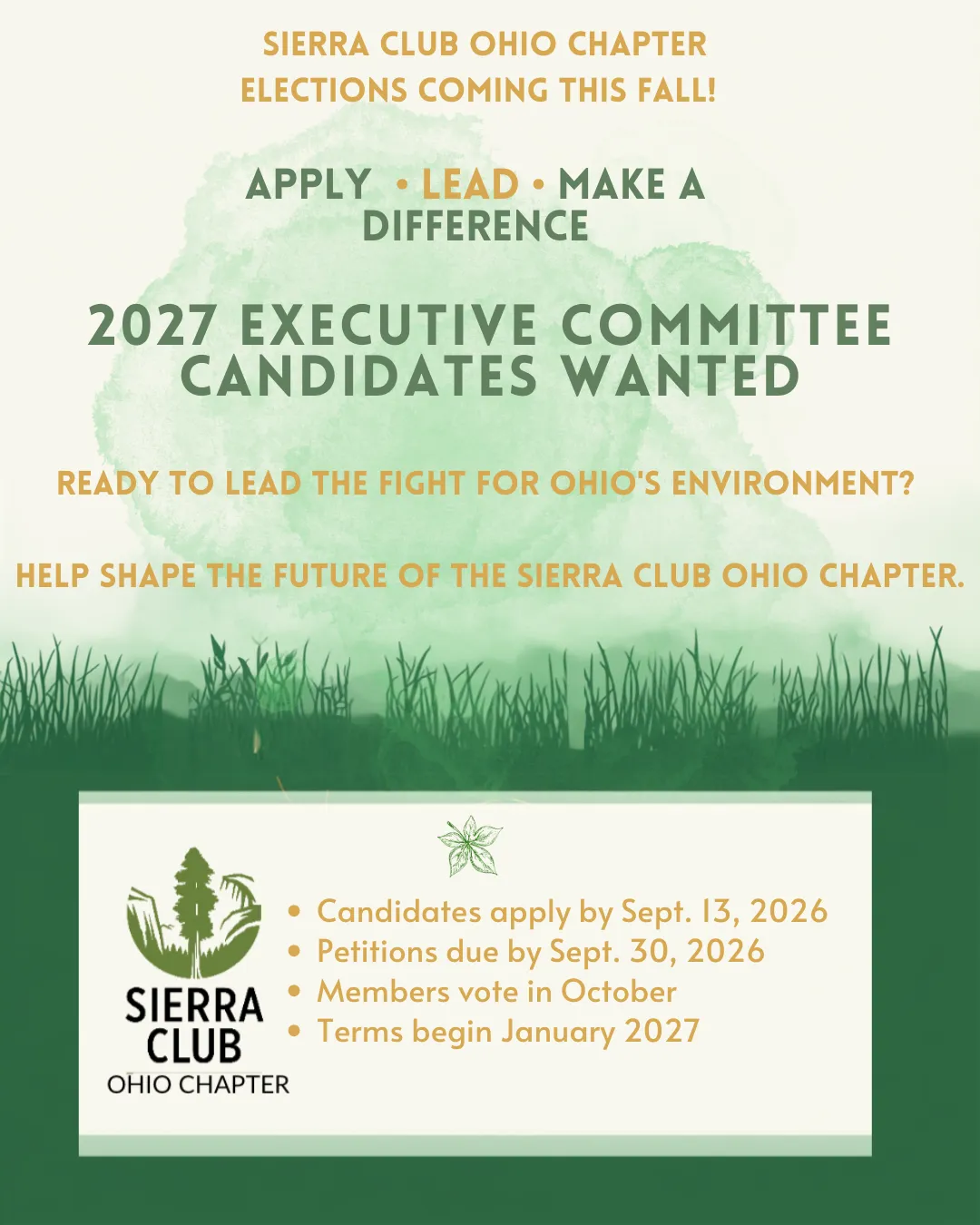 SCO-Ex-com recruitment flyer 