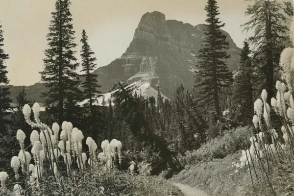 Glacier National Park landscape