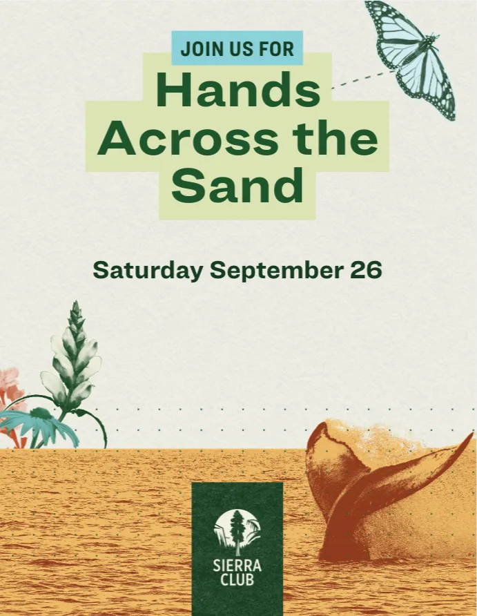 Hands Across the Sand