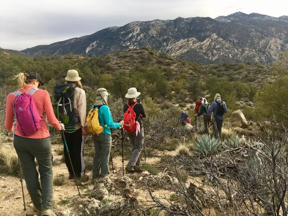 A group of hikers descend a hillside with mountains in the background