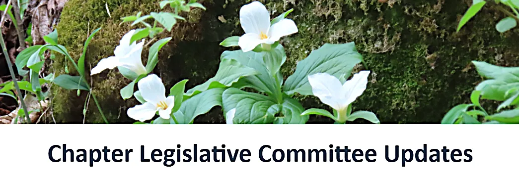 Legislative Updates