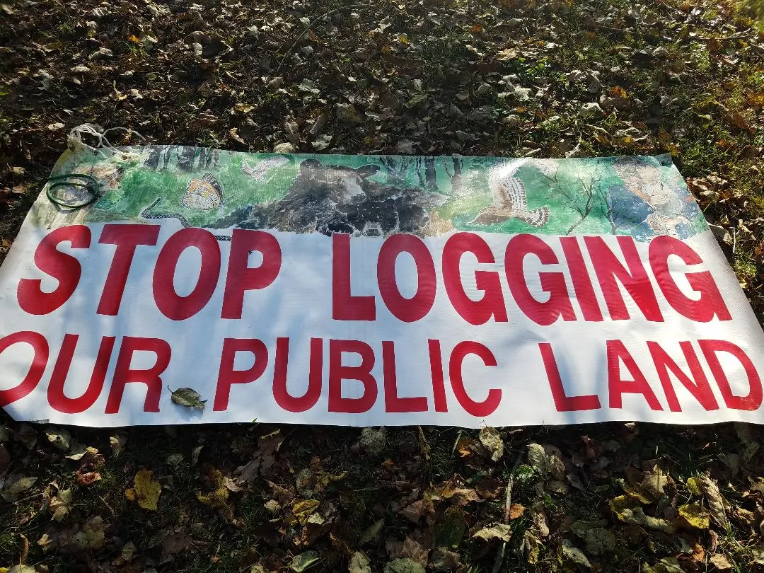 Banner reading 'Stop Logging Our Public Land'