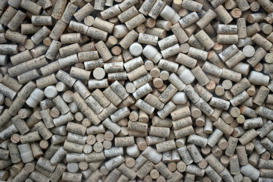 An overhead view of pellets.