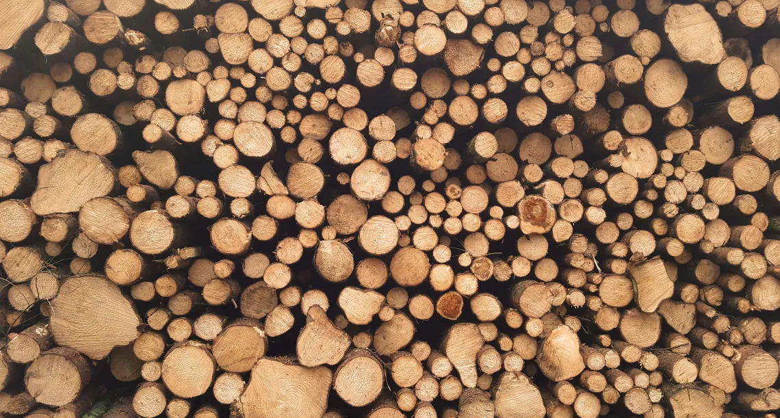 Chopped logs from above.