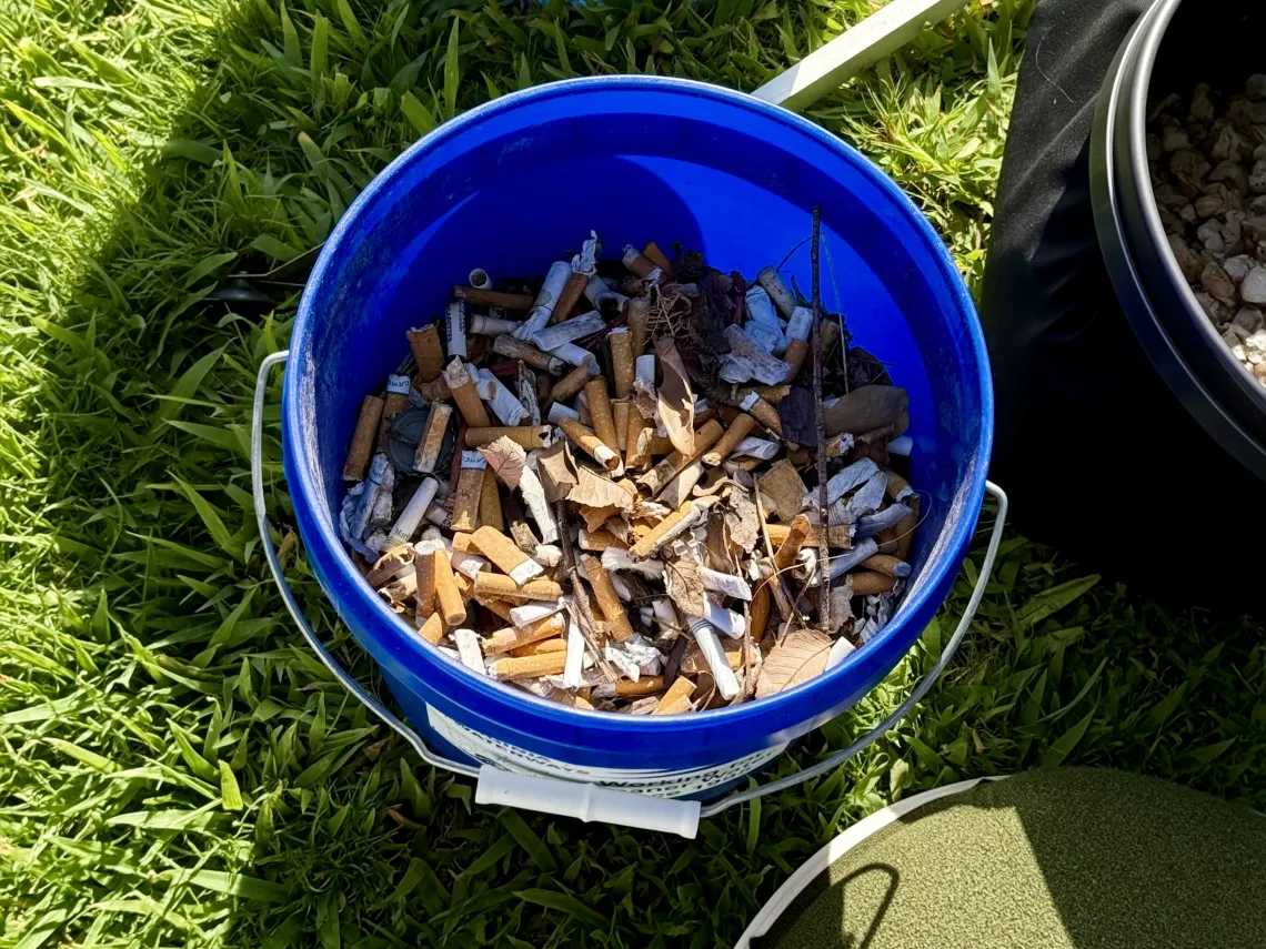 3.5 pounds of cigarette butts