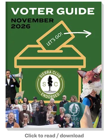 Graphic cover of Voter Guide