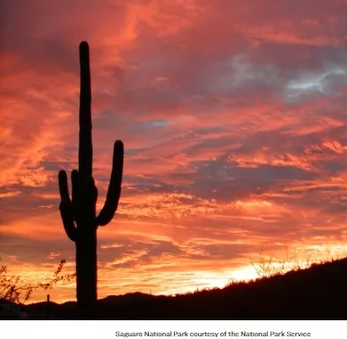 20220706a_Sunset_Saguaro_National_Park_per_National_Park_Service.jpg