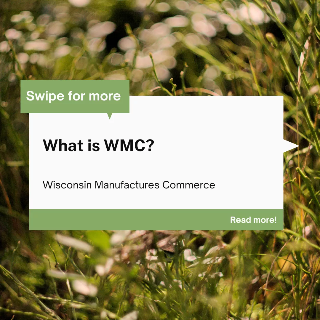 Copy of What is the WMC (Instagram Post) (1).png