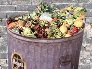 food-waste-can.jpg