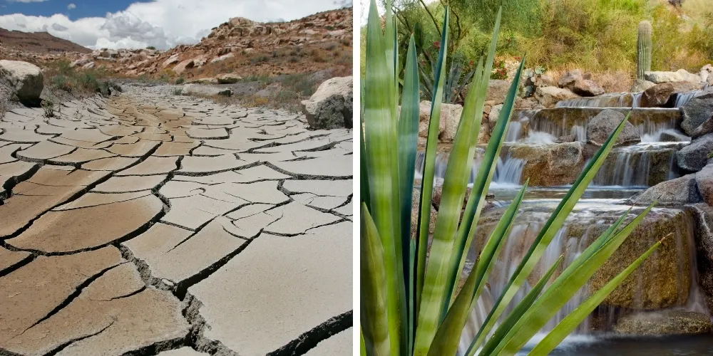 Sierra Club Water Sentinels Subcommittee Water Quantity Western Waters.jpg