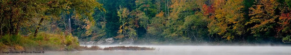 misty-river.jpg