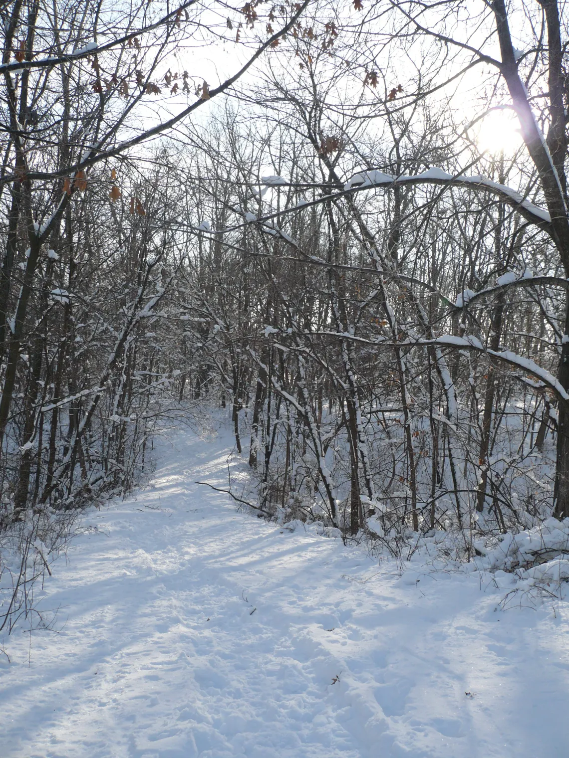 Wanatee Park trail