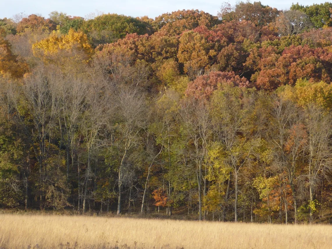 Fall in Iowa