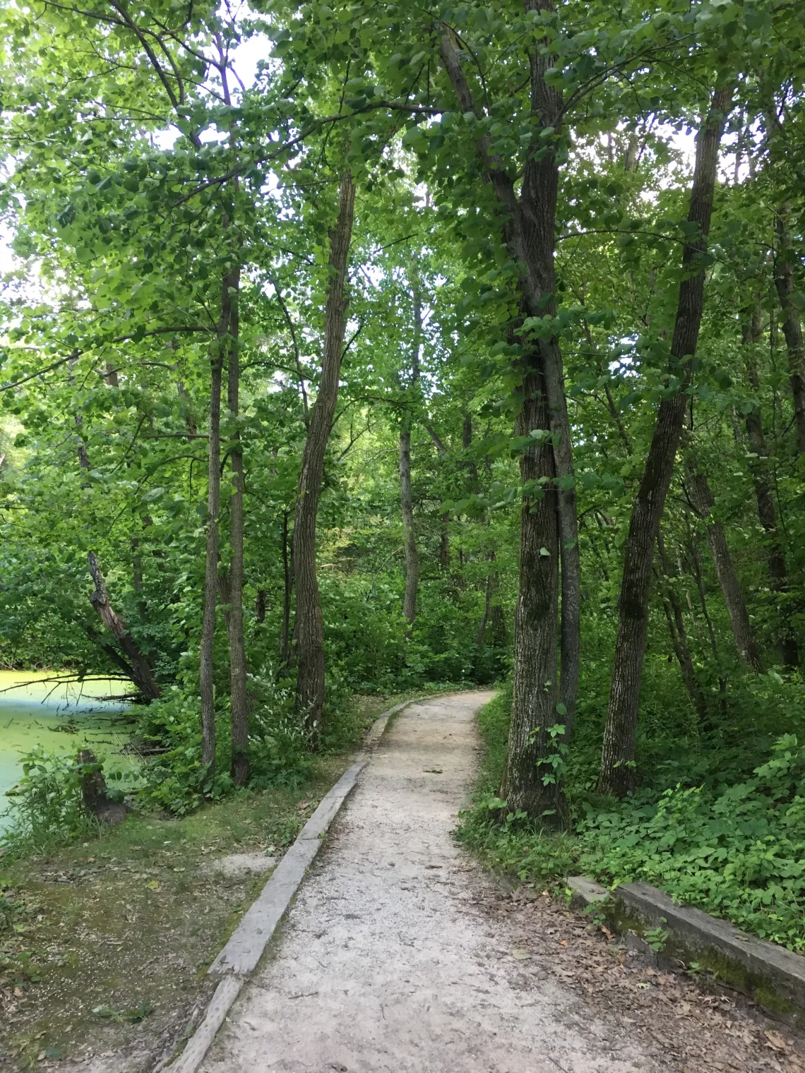 Photo by Valeria Mackey, Ledges State Park trail