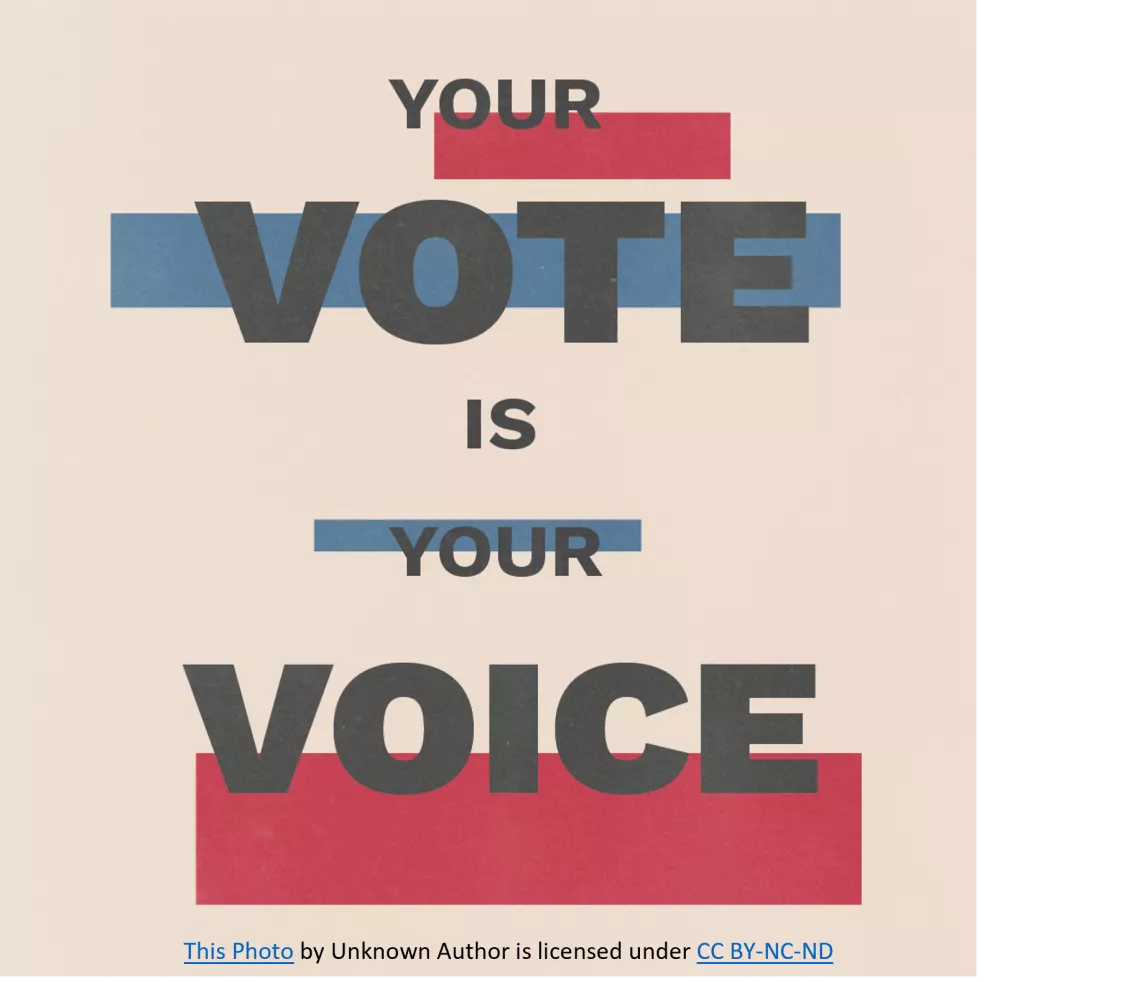 Your vote is your voice.png