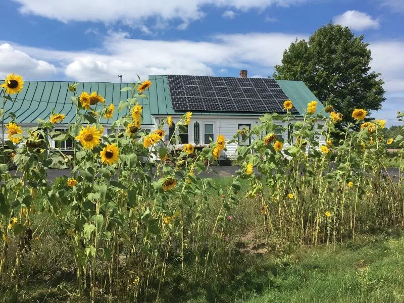 Solar House.jpg