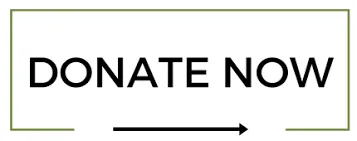 donate now button.png