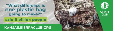 Plastic bags on ground at edge of creek