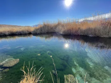 Fish Slough