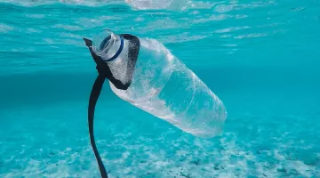 The Scourge of Plastics Pollution