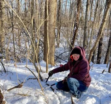 A woman dressed in warm clothing is cutting down an invasive plant in the snow.