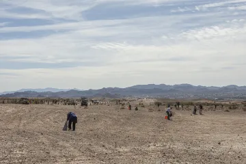 CC Wetlands 16
